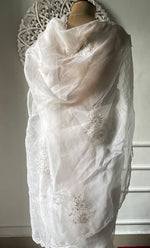 Load image into Gallery viewer, Women's Lucknowi Handcrafted Pure Organza Silk Chikankari Saree - HONC0321035