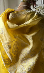 将图像加载到图库查看器中, Buy Chikankari Saree Online