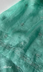 将图像加载到图库查看器中, Women's Lakhnavi Handcrafted Pure Organza Chikankari Unstitched Kurta And Dupatta Set- HONC029556