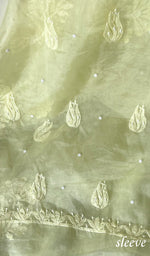 将图像加载到图库查看器中, Women's Lakhnavi Handcrafted Organza Chikankari Unstitched Full Suit Material - HONC0271221