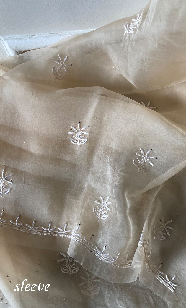 Women's Lakhnavi Handcrafted Pure Organza Chikankari Unstitched Kurta And Dupatta Set- HONC0266923