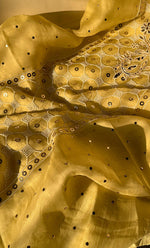 将图像加载到图库查看器中, Women's Lakhnavi Handcrafted Pure Organza Chikankari Unstitched Kurta And Dupatta Set- HONC0304473