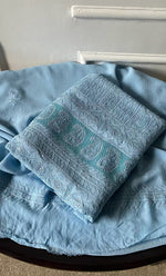 Load image into Gallery viewer, Women's Lakhnavi Handcrafted Viscose Georgette Chikankari Full Suit Material - HONC0277019