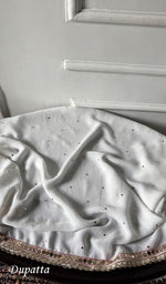 Load image into Gallery viewer, Women's Lucknowi Handcrafted Viscose Georgette Unstitched Chikankari Kurta and Dupatta Set- HONC0329582