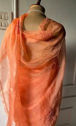 Load image into Gallery viewer, Women's Lucknowi Handcrafted Pure Organza Silk Chikankari Saree - HONC0283198