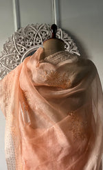 将图像加载到图库查看器中, Women's Lucknowi Handcrafted Pure Organza Silk Chikankari Saree - HONC0296103