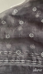 Load image into Gallery viewer, Women's Lakhnavi Handcrafted Pure Organza Chikankari Unstitched Kurta And Dupatta Set- HONC0335082