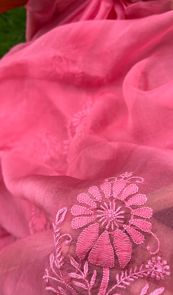 Ishq Women's Lucknowi Handcrafted Pure Organza Silk Chikankari SAREE - HONC0273031