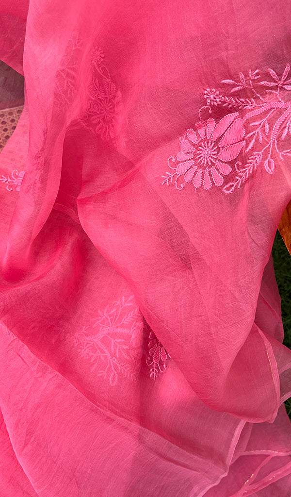 Ishq Women's Lucknowi Handcrafted Pure Organza Silk Chikankari SAREE - HONC0273031