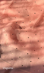 将图像加载到图库查看器中, Marifa Women's Lakhnavi Handcrafted Pure Organza Chikankari Unstitched Kurta And Dupatta Set- HONC0296144