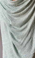 将图像加载到图库查看器中, Women's Lakhnavi Handcrafted Viscose Georgette Chikankari Saree - HONC0290054