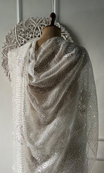 将图像加载到图库查看器中, Women's Lucknowi Handcrafted Pure Organza Silk Chikankari Saree - HONC0307590