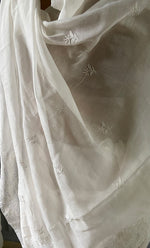 Load image into Gallery viewer, Women's Lakhnavi Handcrafted Mul Chanderi Chikankari Saree - HONC0301810