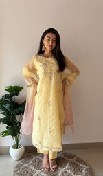 将图像加载到图库查看器中, Women's Lucknowi Handcrafted Pure Organza Silk Stitched Chikankari Kurta, Dupatta With Pant Set- HONC0368442