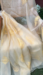 将图像加载到图库查看器中, Women's Lucknowi Handcrafted Pure Organza Silk Chikankari SAREE - HONC0228639
