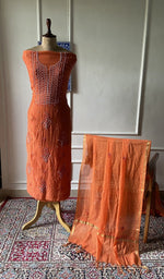 将图像加载到图库查看器中, deep orange pure mul chanderi chikankari 3 pc unstitched suit set on mannequin