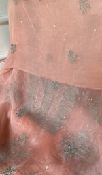 Load image into Gallery viewer, dupatta chikankari detail, peach pure organza silk