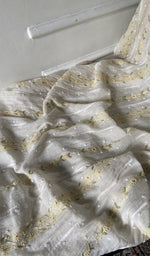 将图像加载到图库查看器中, gala and front panel work in close up