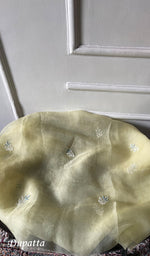 Load image into Gallery viewer, Women's Lakhnavi Handcrafted Pure Organza Chikankari Unstitched Kurta And Dupatta Set- HONC0304479