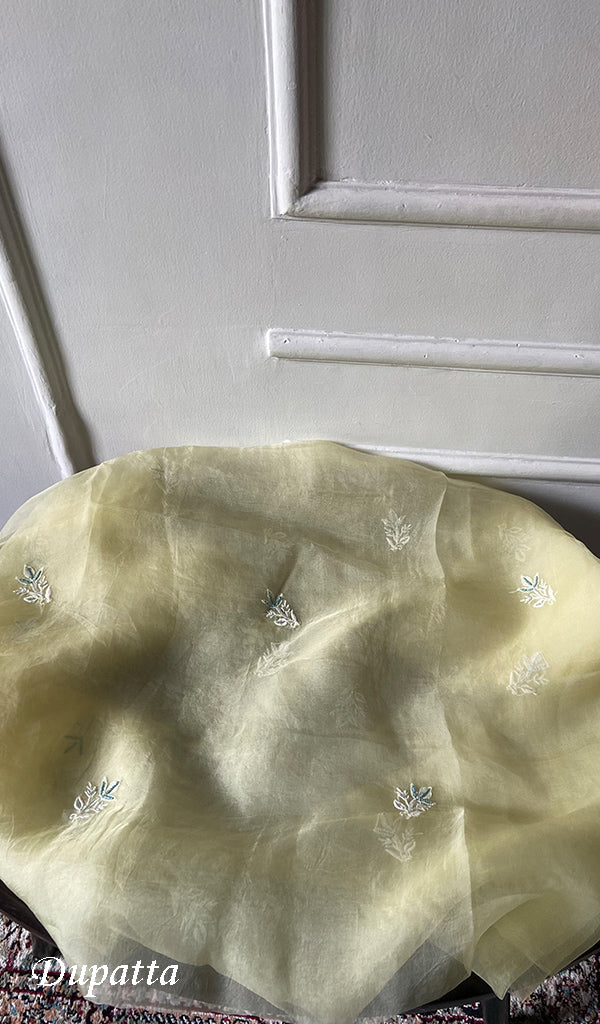 Women's Lakhnavi Handcrafted Pure Organza Chikankari Unstitched Kurta And Dupatta Set- HONC0304479