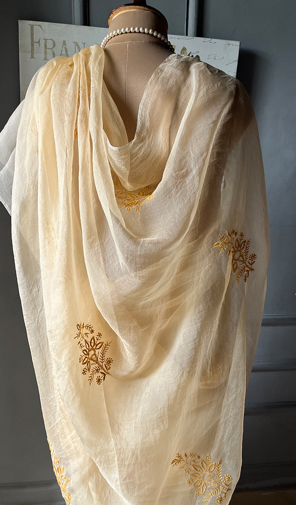 Women's Lucknowi Handcrafted Pure Organza Silk Chikankari Saree - HONC0268557