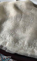 将图像加载到图库查看器中， Women's Lakhnavi Handcrafted Pure Organza Chikankari Unstitched Kurta And Dupatta Set- HONC0319969