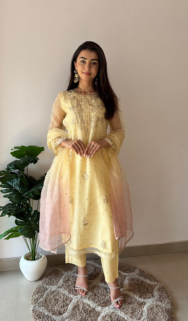 Women's Lucknowi Handcrafted Pure Organza Silk Stitched Chikankari Kurta, Dupatta With Pant Set- HONC0368442