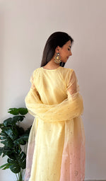将图像加载到图库查看器中， Women's Lucknowi Handcrafted Pure Organza Silk Stitched Chikankari Kurta, Dupatta With Pant Set- HONC0368442