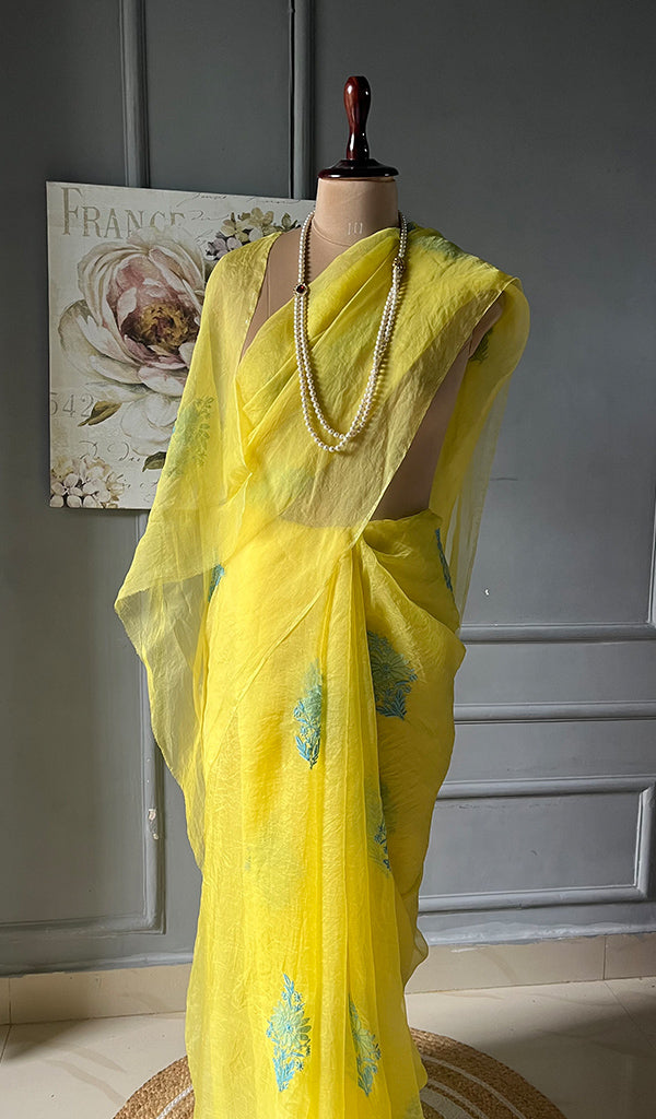 Women's Lucknowi Handcrafted Pure Organza Silk Chikankari Saree - HONC0298119