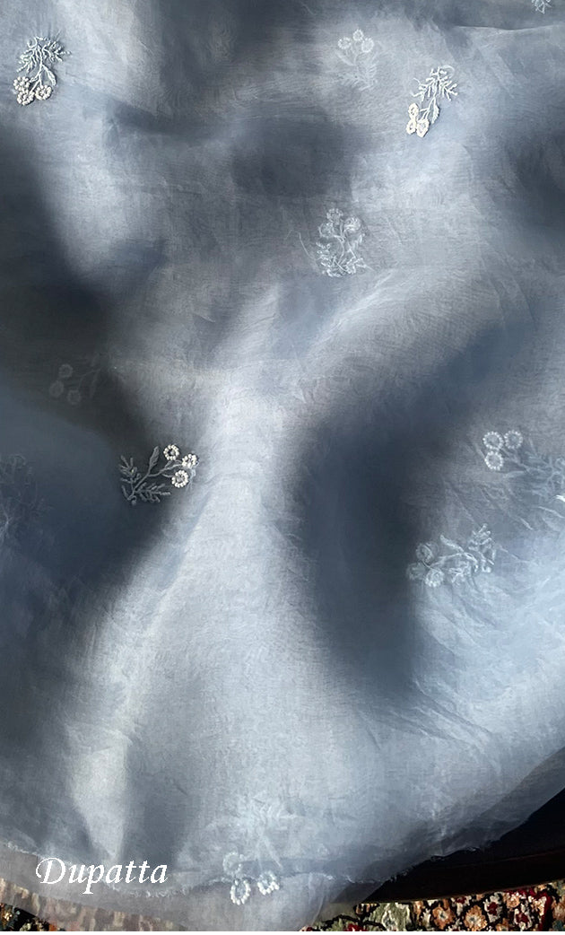 Rose Women's Lakhnavi Handcrafted Pure Organza Chikankari Unstitched Kurta And Dupatta Set- HONC0314167