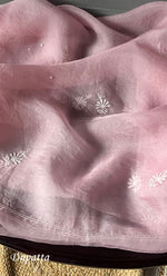 Load image into Gallery viewer, Women&#39;s Lakhnavi Handcrafted Pure Organza Chikankari Semi - stitched Kurta And Dupatta Set- HONC0307953
