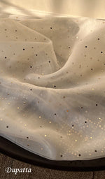 Load image into Gallery viewer, Women&#39;s Lakhnavi Handcrafted Munga Silk Chikankari Kurta And Dupatta Set - HONC0296154
