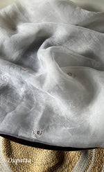 将图像加载到图库查看器中， Women&#39;s Lakhnavi Handcrafted Pure Organza Chikankari Unstitched Kurta And Dupatta Set- HONC0288321
