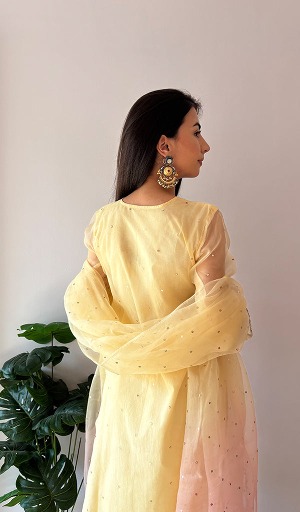 Women's Lucknowi Handcrafted Pure Organza Silk Stitched Chikankari Kurta, Dupatta With Pant Set- HONC0368442