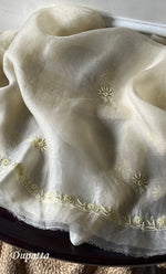 将图像加载到图库查看器中， Women&#39;s Lakhnavi Handcrafted Pure Organza Chikankari Unstitched Kurta And Dupatta Set- HONC0263886
