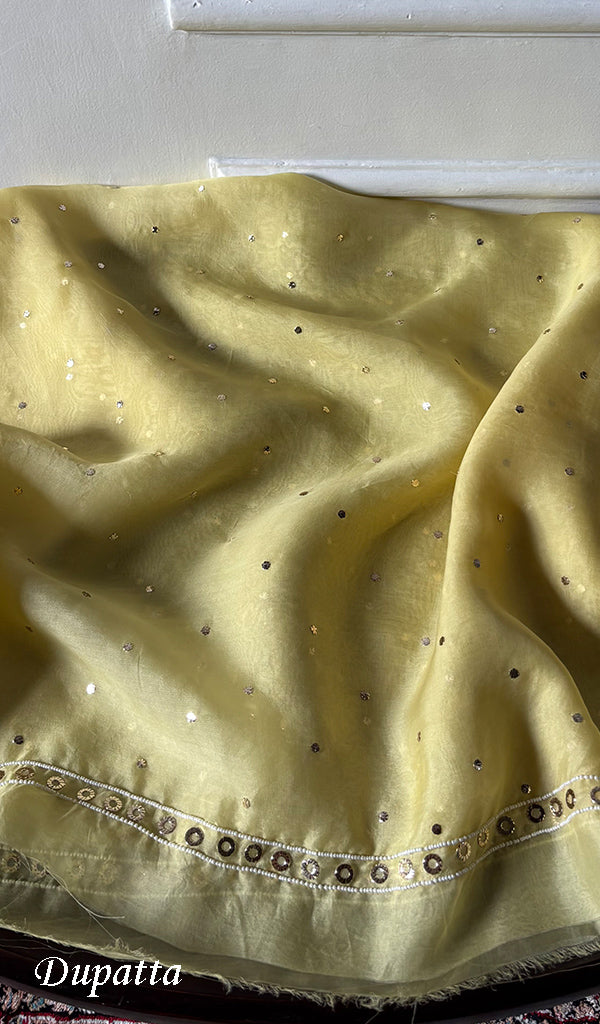 Women's Lakhnavi Handcrafted Pure Organza Chikankari Unstitched Kurta And Dupatta Set- HONC0314317