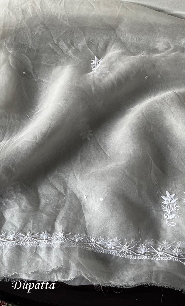 Women's Lakhnavi Handcrafted Pure Organza Chikankari Semi -stitched Anarkali And Dupatta Set - HONC0328513