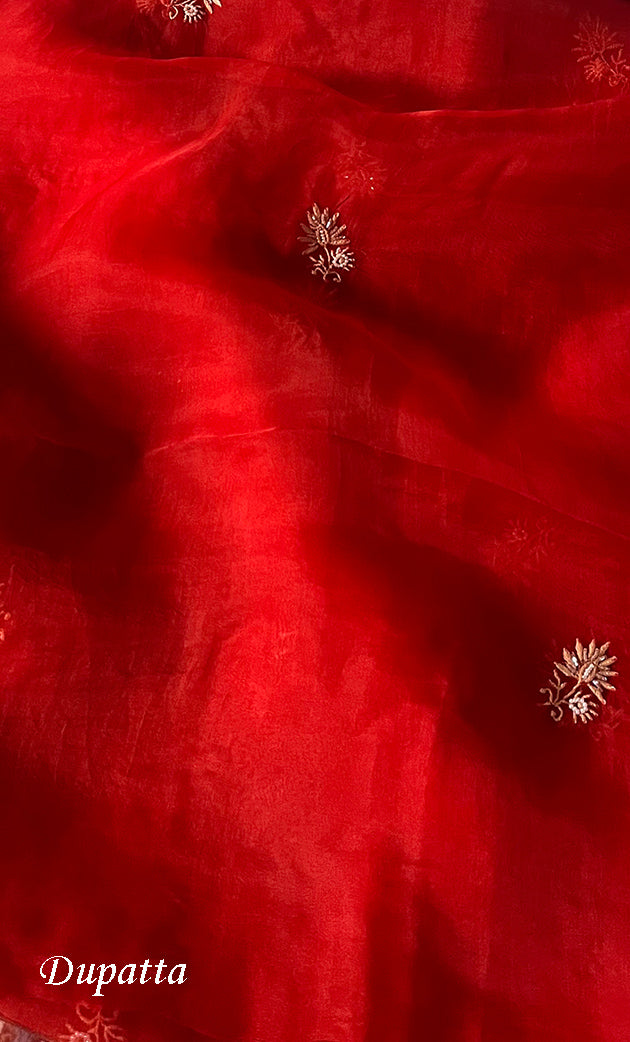 Women's Lakhnavi Handcrafted Pure Organza Chikankari Unstitched Kurta And Dupatta Set- HONC0311711