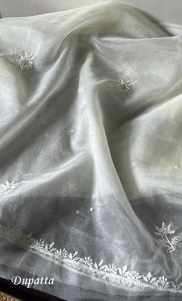 Women's Lakhnavi Handcrafted Organza Chikankari Unstitched Full Suit Material - HONC0284611