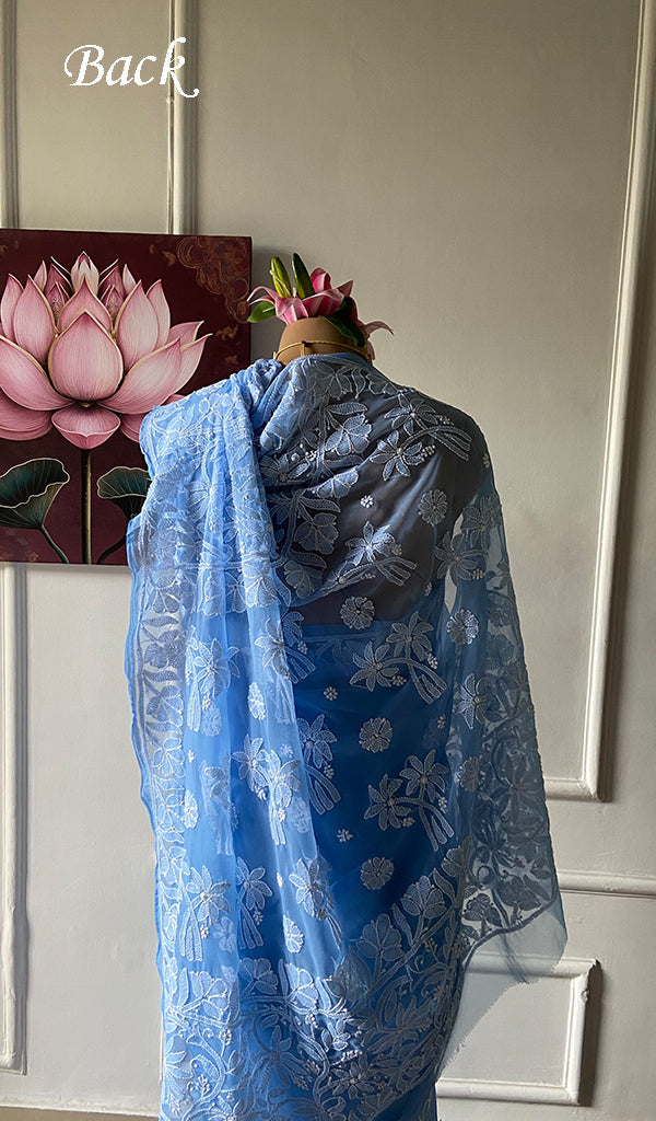 Women's Lucknowi Handcrafted Faux-Georgette Chikankari Saree - HONC0348737