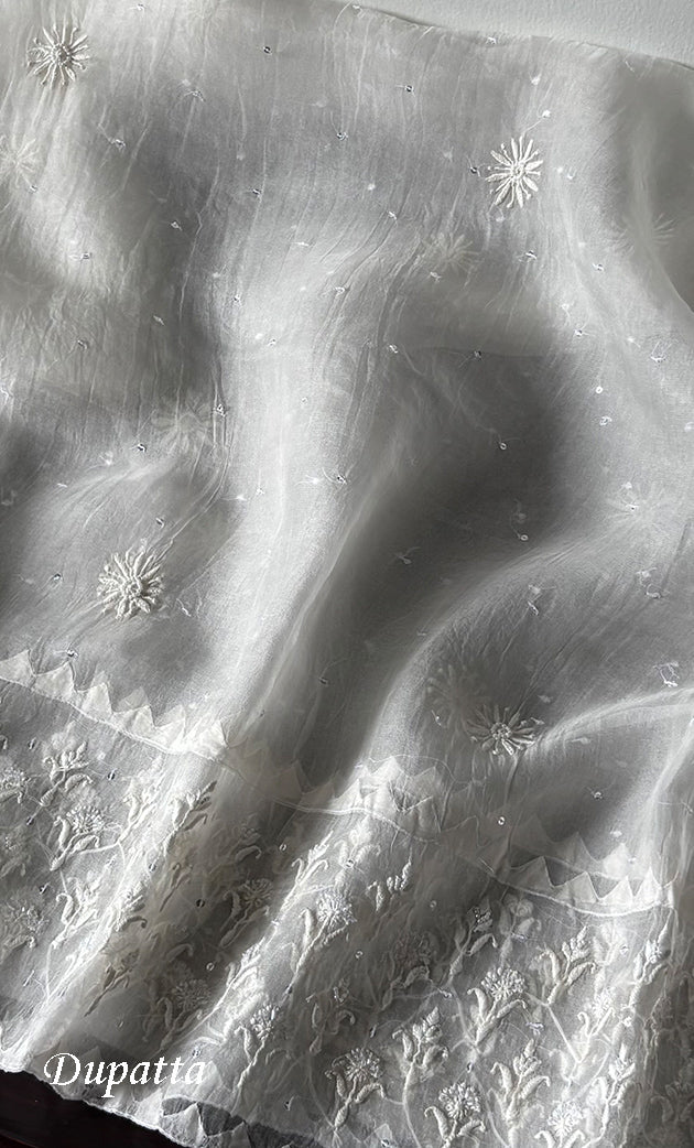 Women's Lakhnavi Handcrafted Pure Organza Chikankari Semi - stitched Kurta And Dupatta Set- HONC0322186