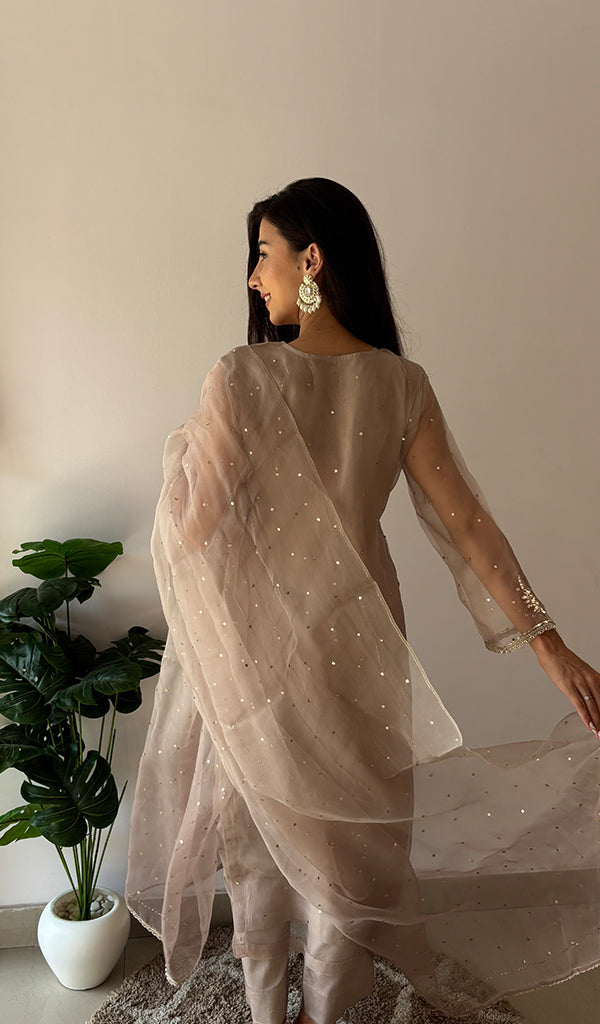 Women's Lucknowi Handcrafted Pure Organza Silk Stitched Chikankari Kurta, Dupatta With Pant Set- HONC0368443