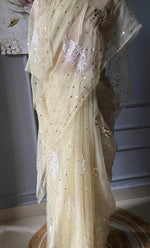 Load image into Gallery viewer, Women&#39;s Lucknowi Handcrafted Pure Organza Silk Chikankari Saree - HONC0271152
