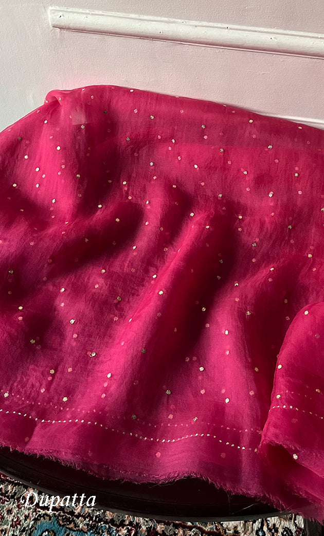 Women's Lakhnavi Handcrafted Pure Organza Chikankari Unstitched Kurta And Dupatta Set- HONC0334964