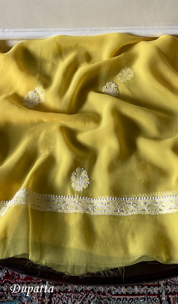 Women's Lucknowi Handcrafted Faux-Georgette Unstitched Chikankari Suit Material - HONC0348785