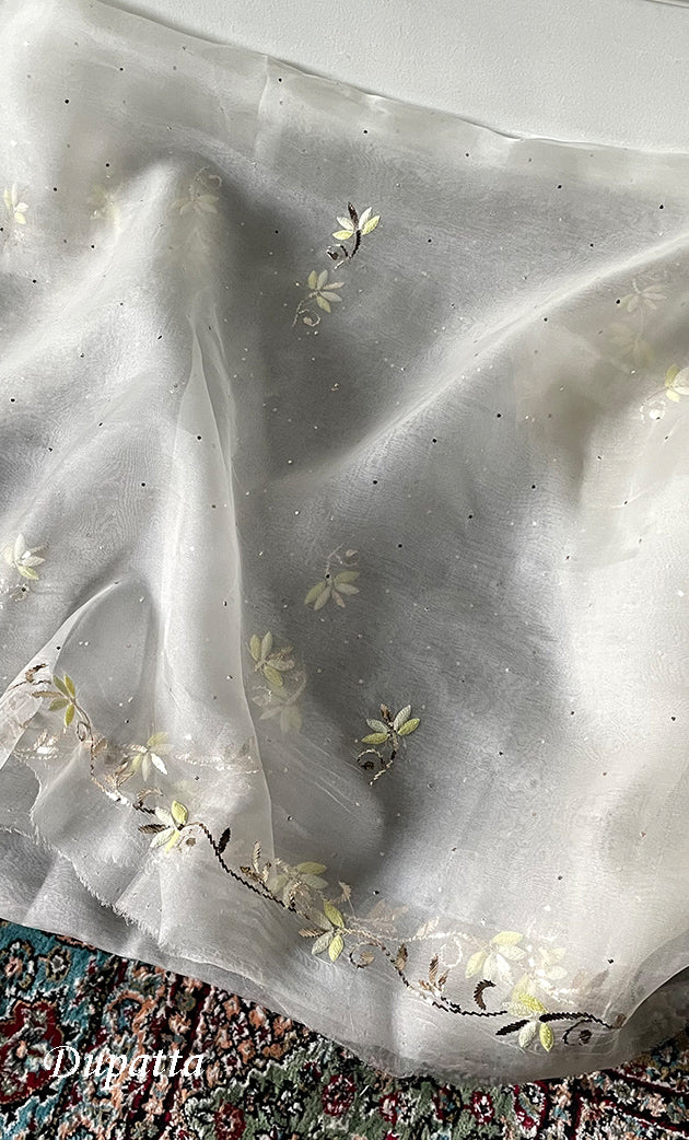 Alfia Women's Lakhnavi Handcrafted Pure Organza Chikankari Unstitched Kurta And Dupatta Set- HONC0329249