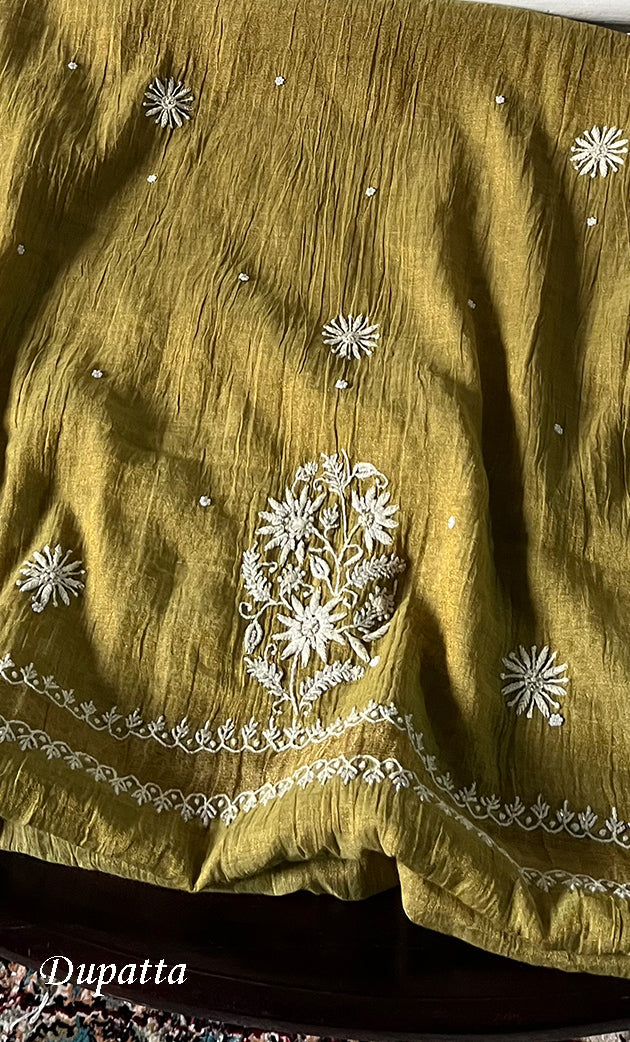 Women's Lucknowi Handcrafted Tissue Chanderi Semi - stitched  Chikankari Anarkali Full Set - HONC0322222