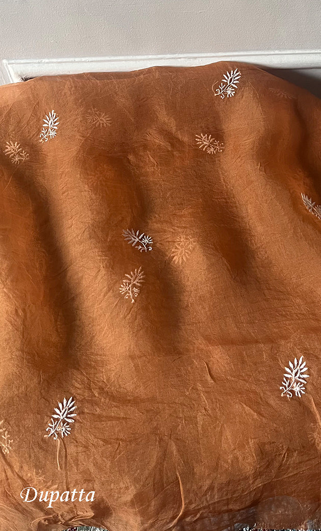 Women's Lakhnavi Handcrafted Pure Organza Chikankari Unstitched Kurta And Dupatta Set- HONC0319189