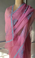 Load image into Gallery viewer, Amna Women&#39;s Lucknowi Handcrafted Pure Organza Silk Chikankari Saree - HONC0TS10500
