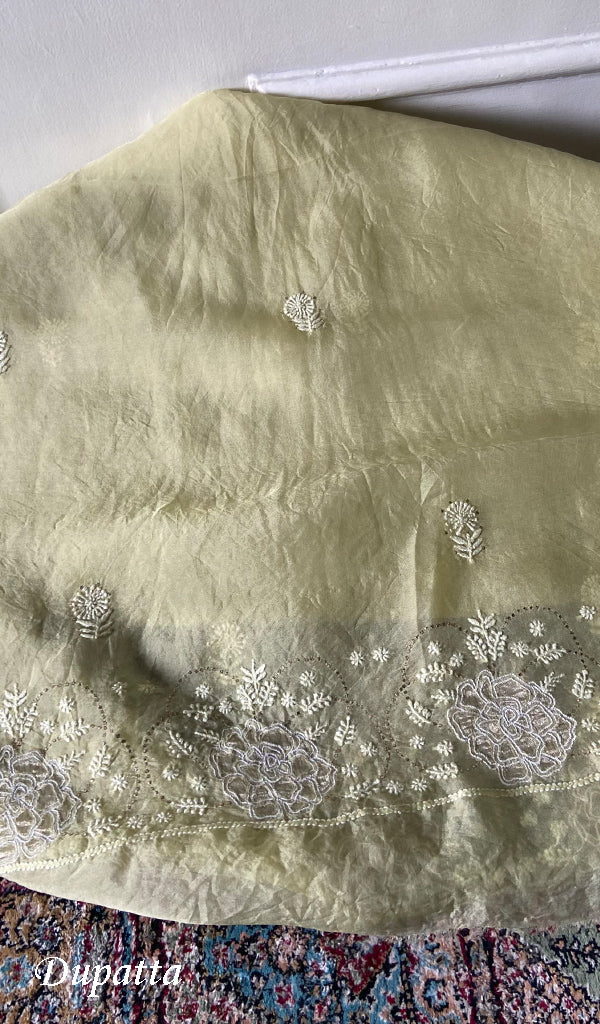 Women's Lakhnavi Handcrafted Pure Organza Chikankari Unstitched Kurta And Dupatta Set- HONC0331155